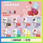 LANA BAR可充电一次性電子煙霧化5000口(3.0%)